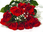 dozen red roses