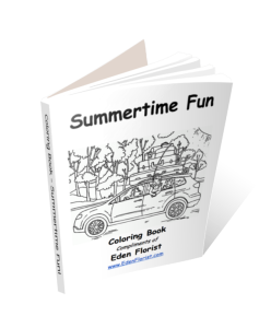Summertime Fun Coloring Book